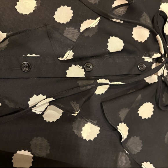 Black Sheer Polka Dot Flowy Long Sleeve Blouse, button front ruffle placket - Picture 3 of 9
